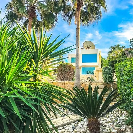 Oasis